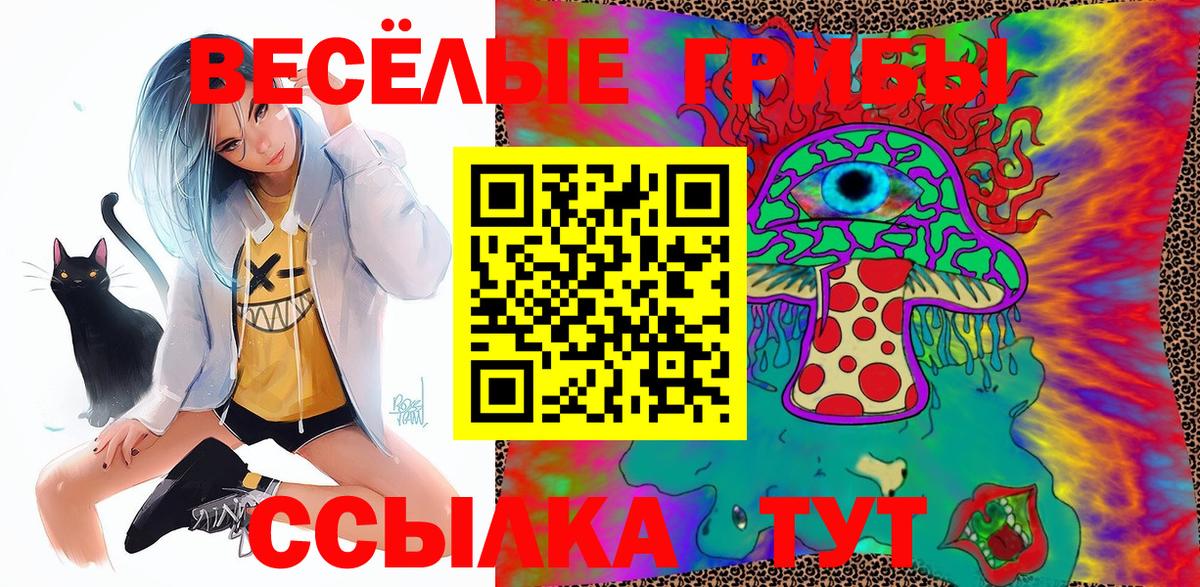 Галлюциногенные грибы Cubensis  Вход с VPN  Качканар 